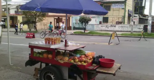 FRUTAS CARRERA 8VA FRUTAS CARRERA 8VA